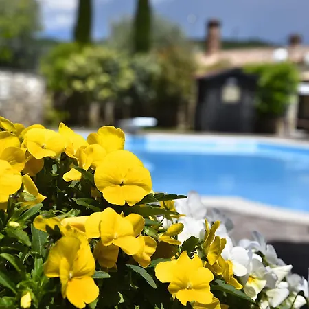 Podere Del Griccia - Val Di Chiana *
